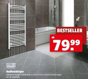 Hagebau WELLWATER Badheizkörper Angebot