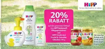 Globus Hipp Angebot