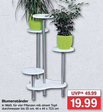 Famila Nord West Kesper Blumenständer Angebot