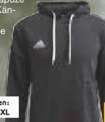 Netto Marken-Discount Herren hoody Angebot