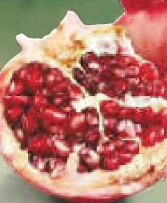 Netto Marken-Discount Granatapfel Angebot