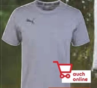 Netto Marken-Discount Herren t-shirt team goal 23 Angebot