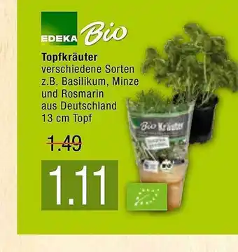 Marktkauf Topfkräuter Angebot