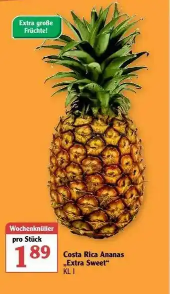 Globus Costa Rica Ananas „extra Sweet” Angebot