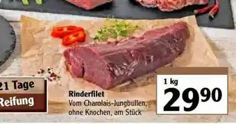 Globus Rinderfilet Angebot