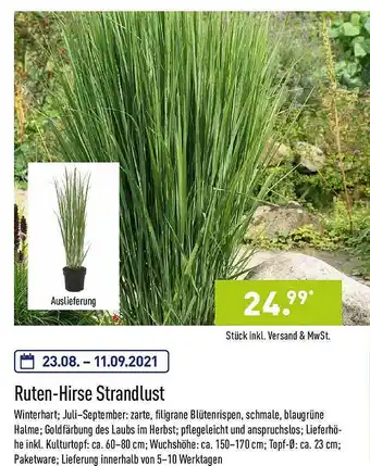 Aldi Nord Ruten-hirse Strandlust Angebot