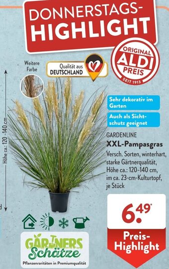GARDENLINE XXL-Pampasgras Angebot bei Aldi Süd