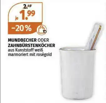 Müller Mundbecher Oder Zahnburstenkocher Angebot