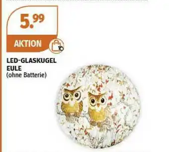 Müller Led-glaskugel Eule Angebot