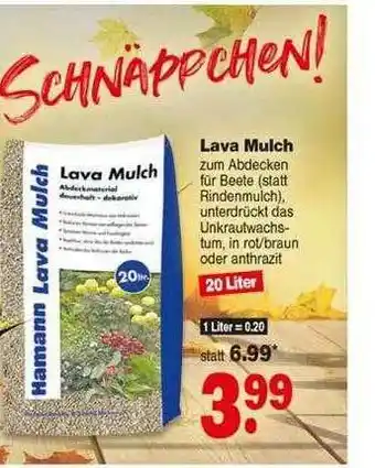 Repo Markt Lava Mulch Angebot