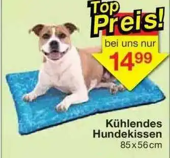 Jawoll Kühlendes Hundekissen Angebot