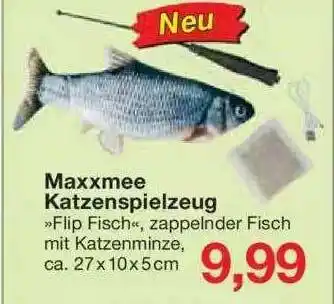 Jawoll Maxxmee Katzenspielzeug Angebot