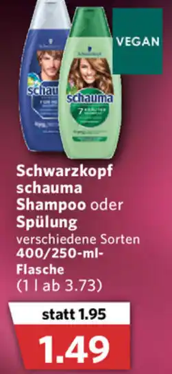 Combi Schwarzkopf Schauma Shampoo oder Spülung 400/250ml Angebot