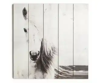 Hornbach Holzbild horse 50x50 cm Angebot