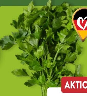 Aldi Nord Kräuter petersilie glatt Angebot