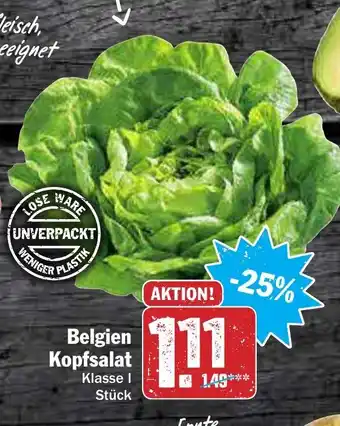 AEZ Belgien Kopfsalat Angebot