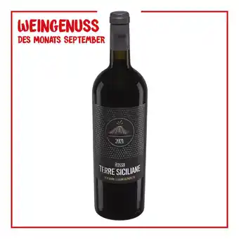 Netto Marken-Discount Spantego rosso terre siciliane 13,5 % vol 0,75 liter Angebot