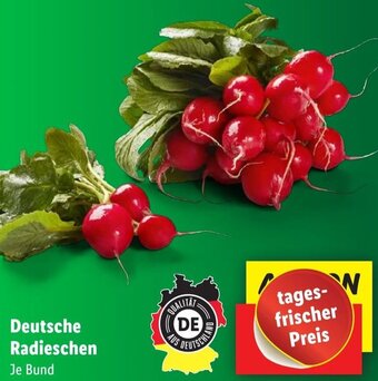 Lidl Deutsche Radieschen Angebot