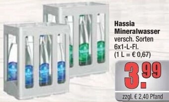 alldrink Hassia Mineralwasser 6x1-L-FI. Angebot