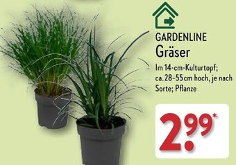 Aldi Nord GARDENLINE Gräser Angebot