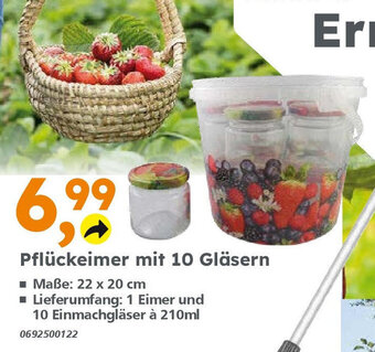 Globus Baumarkt Pflückeimer mit 10 Gläsern Angebot