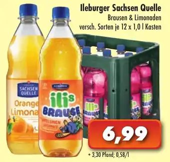 Lösch Depot Ileburger Sachsen Quelle 12x1L Angebot