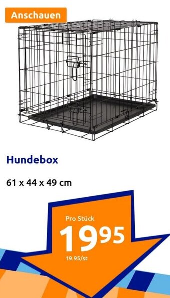 Action Hundebox Angebot