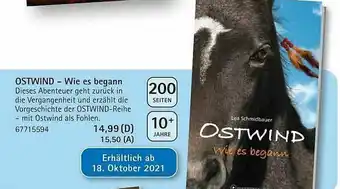 Vedes Ostwind - Wie Es Begann Angebot