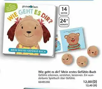 Vedes Wie Geht Es Dir ? Mein Erstes Gefühle-buch Angebot