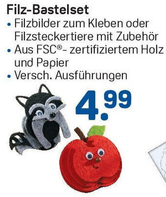 Rossmann Filz-Bastelset Angebot