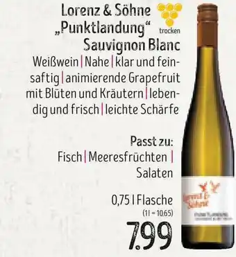 Edeka Struve Lorenz & Söhne „punktlandung” Sauvignon Blanc Angebot