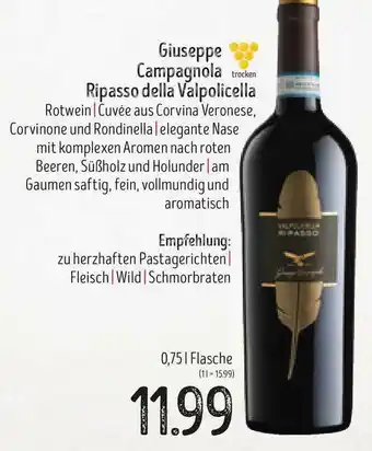 Edeka Struve Giuseppe Campaghola Ripasso Della Valpolicella Angebot