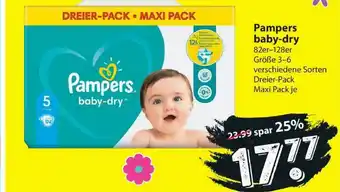 Famila Nord West Pampers Baby-dry Angebot