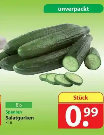 Famila Nord West Salatgurken Angebot