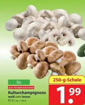 Famila Nord West Kulturchampignons Angebot