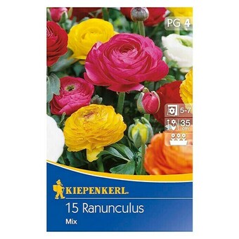 Bauhaus Kiepenkerl sommerblumenzwiebeln ranunkel mix (ranunculus, 15 stk.) Angebot