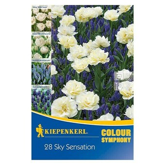 Bauhaus Kiepenkerl frühlingsblumenzwiebel-mix sky sensation (arten-mischung, 28 stk.) Angebot