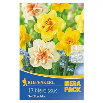 Bauhaus Kiepenkerl frühlingsblumenzwiebeln gefüllter narzissen-mix (narcissus, 17 stk.) Angebot