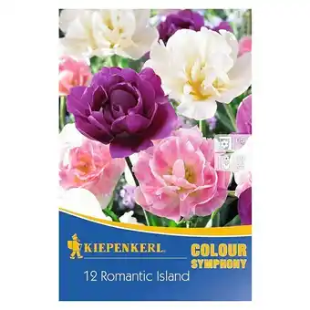 Bauhaus Kiepenkerl frühlingsblumenzwiebeln romantic island mix (tulipa, 12 stk.) Angebot