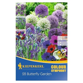 Bauhaus Kiepenkerl sommerblumenzwiebel-mix butterfly garden (28 stk.) Angebot