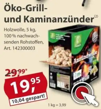 Sonderpreis Baumarkt öko Grill und Kaminanzünder Angebot