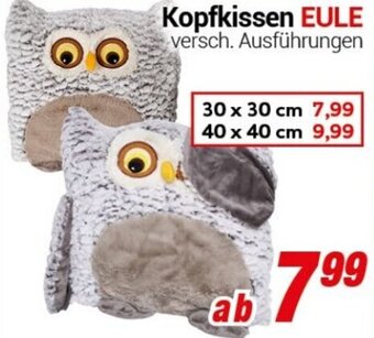 CENTERSHOP Kopfkissen EULE Angebot