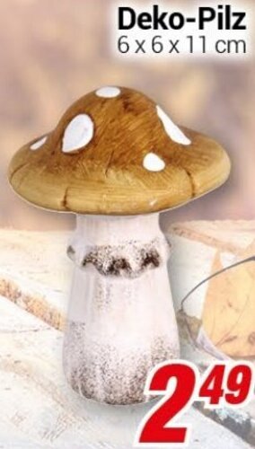 CENTERSHOP Deko-Pilz Angebot