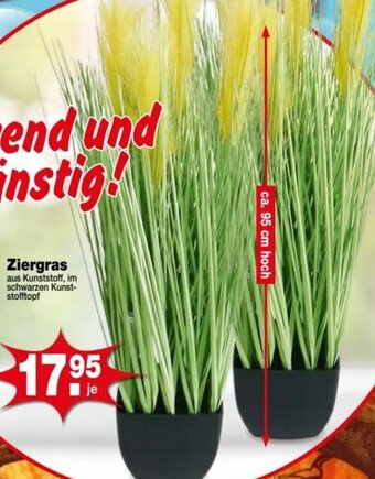 Krümet Sonderposten Ziergras Angebot