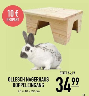 Kölle Zoo OLLESCH NAGERHAUS DOPPELEINGANG Angebot