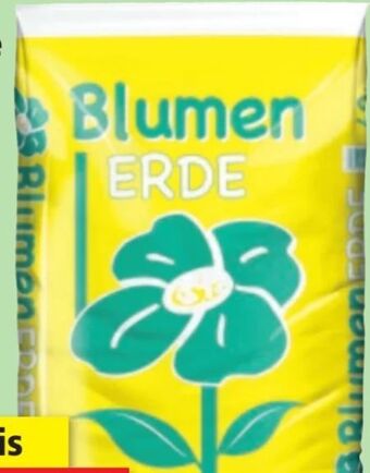 Thomas Philipps Blumen erde Angebot