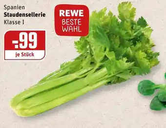 REWE Spanien Staudensellerie Angebot