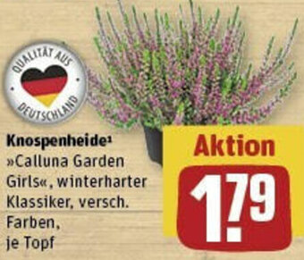 REWE Knospenheide Angebot