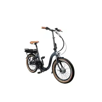 Netto Marken-Discount Blaupunkt falt-e-bike franzi Angebot