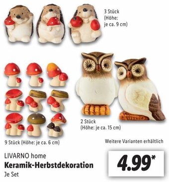 Lidl LIVARNO home Keramik-Herbstdekoration Angebot